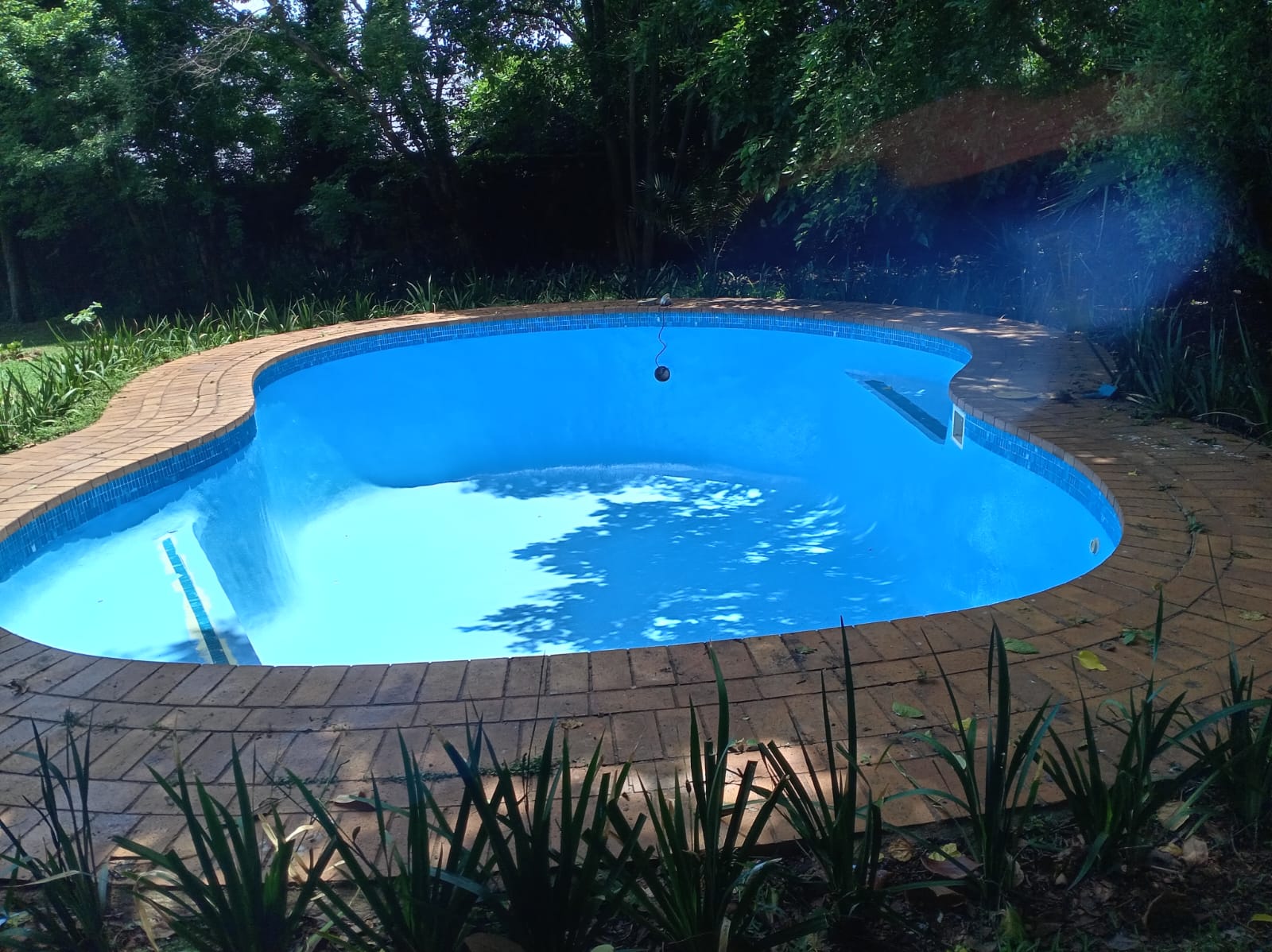 Pool cleaning by Carlos Pools